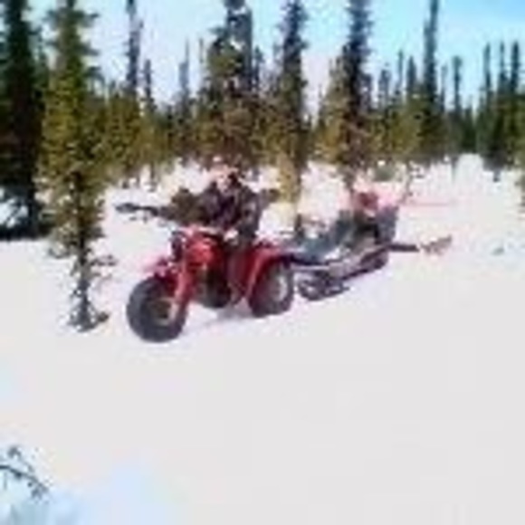 Meet your Posher, Chris - Picture 1 of 1